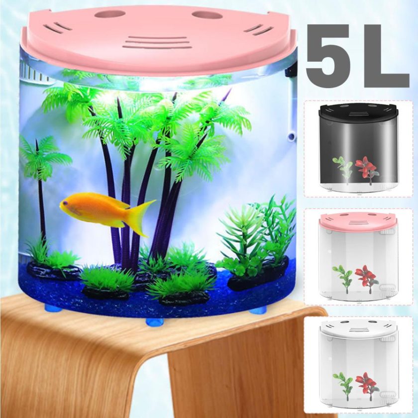 Mini Half Moon Acrylic Fish Tank - Image 8