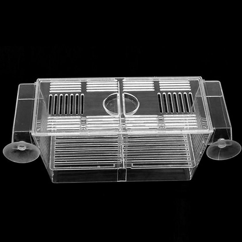 Acrylic Aquarium Fish Tank Incubation Box - Image 4