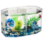 mini fish tank