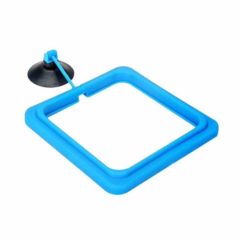 Aquarium Feeding Ring Floating Fish Tank Food Tray - Image 8