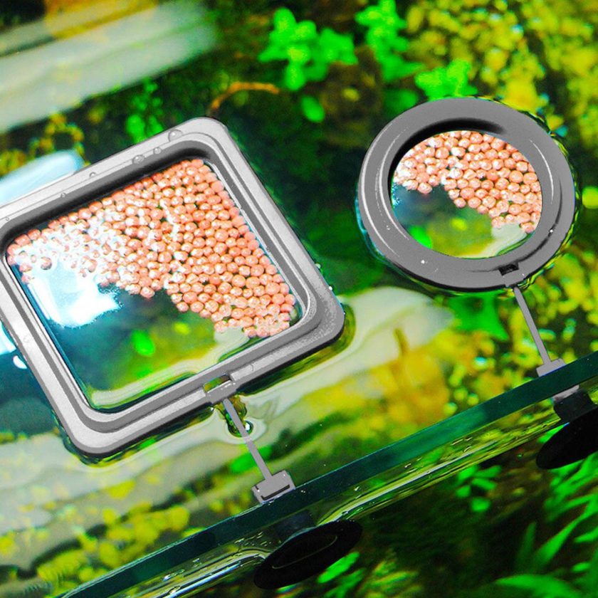 Aquarium Feeding Ring Floating Fish Tank Food Tray