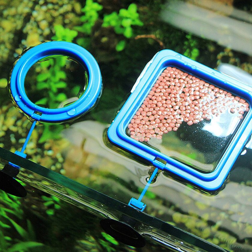 Aquarium Feeding Ring Floating Fish Tank Food Tray - Image 4