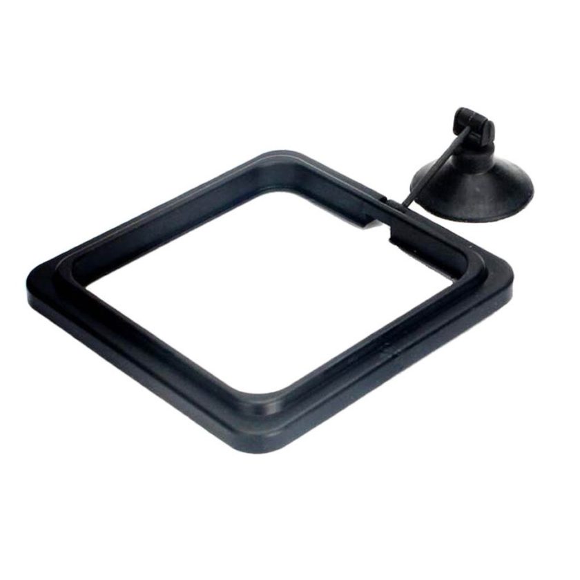 Aquarium Feeding Ring Floating Fish Tank Food Tray - Image 6