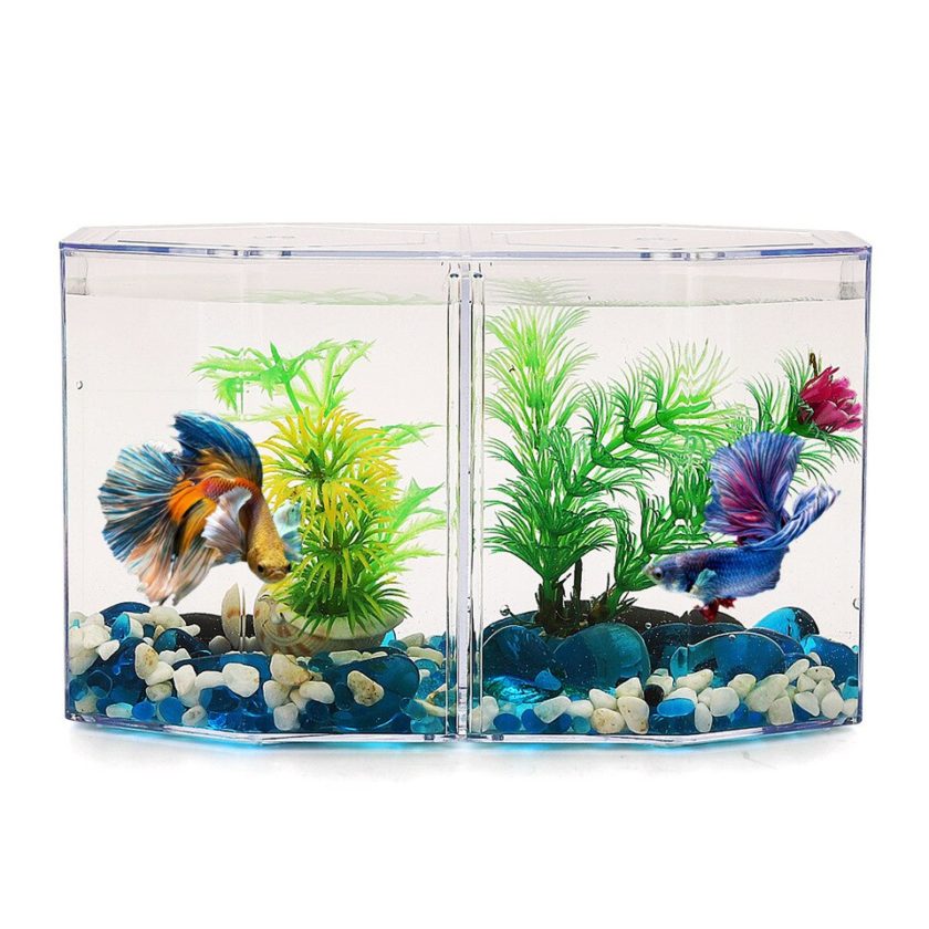 Acrylic Two Splits Aquarium Betta Fish Bowl - Image 5