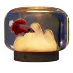 betta fish tank