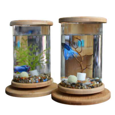desktop fish tank