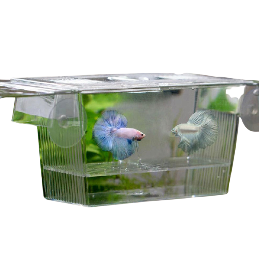 Acrylic Aquarium Fish Tank Incubation Box