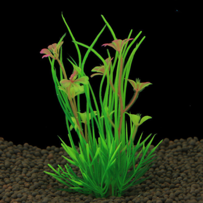 fish plants