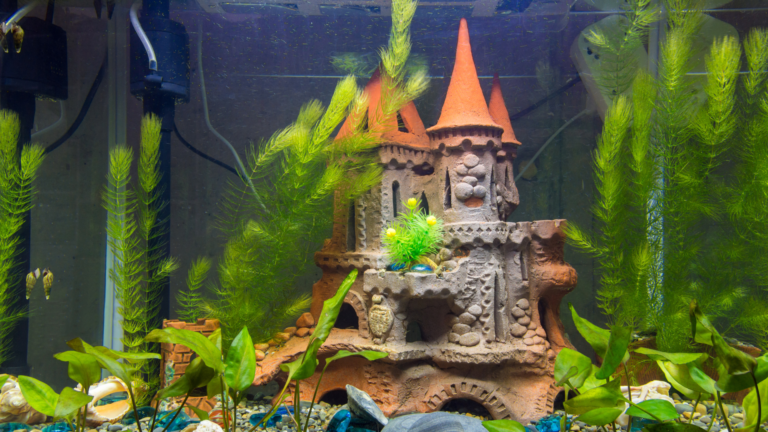 fish tank decor