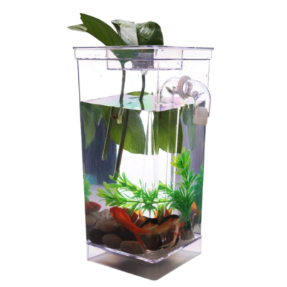 self cleaning fish tanks