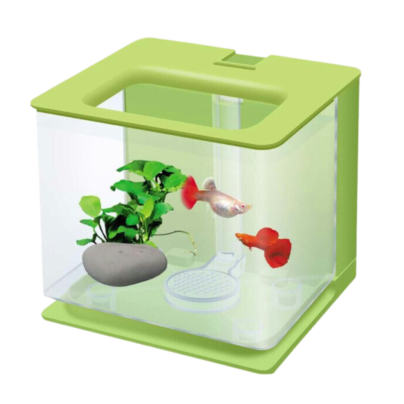 nano fish tank